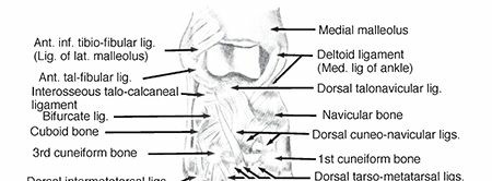 Illustration 5 for Mastering First MTP Joint & Forefoot Fractures: A Comprehensive Guide
