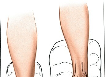 Illustration of hallucis longus muscle - Dr. Mohammed Hutaif