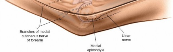 Illustration 43 for Mastering Elbow Approaches: Applied Surgical Anatomy for Precision