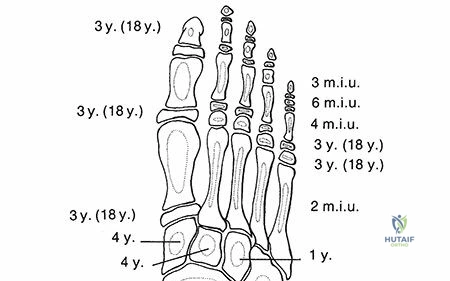 PEDIATRIC ANKLE AND FOOT Fractures and Dislocations
