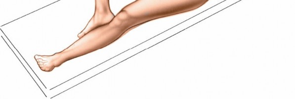 Illustration 209 for Unlocking Every Aspect of the Hip's Surgical Approaches