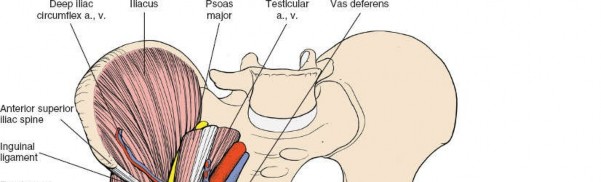 Illustration 50 for Ilioinguinal Approach: Master the Deep Inguinal Ring for Success