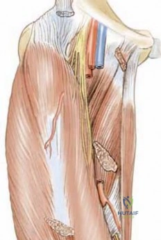 القدم الجوفاء الحنفاء الروحاء (Equinocavovarus): دليل شامل للمرضى في اليمن والخليج العربي