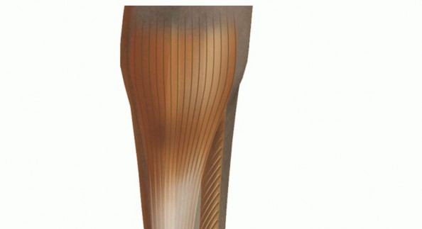 Illustration of hallucis longus transfer - Dr. Mohammed Hutaif