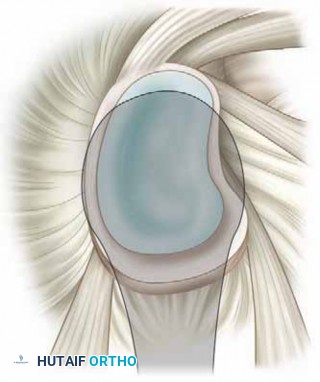 Illustration 6 for Unlock Recovery: Management of Shoulder Throwing Injuries