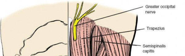 Illustration 194 for Approach to the Lumbar Spine: Mastering Techniques & Anatomy