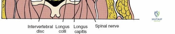 Clinical Image
