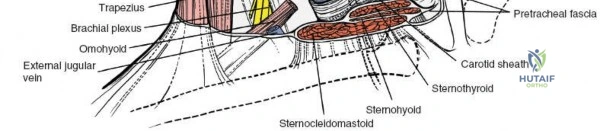 Clinical Image