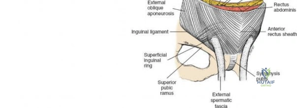 Clinical Image