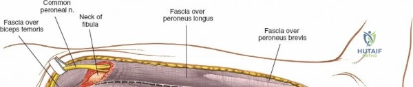 Clinical Image