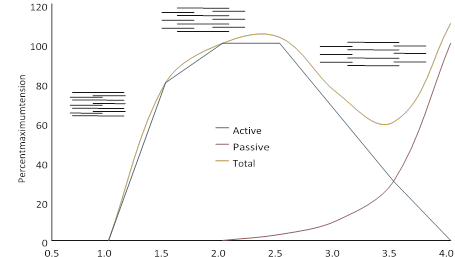Illustration 9 for Decoding Von Willebrand Factor: Fundamental Basic Science Principles