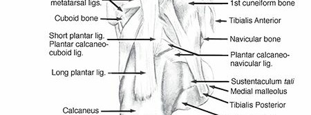 Illustration 7 for Mastering First MTP Joint & Forefoot Fractures: A Comprehensive Guide