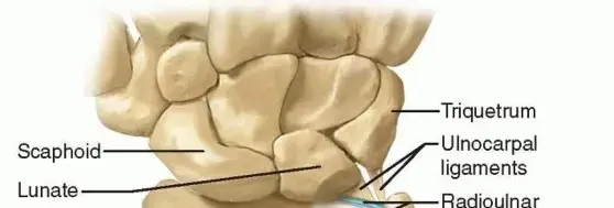 وداعًا لألم الرسغ: الدليل الشامل لمتلازمة الغضروف الليفي المثلث (TFCC) وعلاجها مع الأستاذ الدكتور محمد هطيف