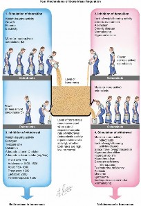 Orthopedic Management of Bone Mineral Density Disorders & Fragility Fractures