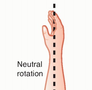 Illustration 20 for Hemiarthroplasty for Proximal: Effective Treatment for Fractures