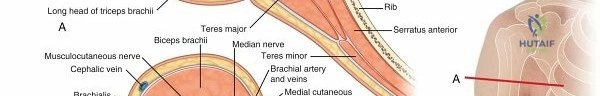 How to Cope with an Orthopedic Injury: Strategies for Recovery and Rehabilitations