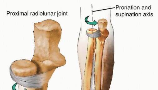 Operative Treatment of Radius and Ulna Diaphyseal Nonunions