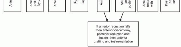 Illustration 35 for Master Techniques for Cervical Fracture Reduction: Type III & More