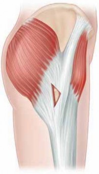Illustration 22 for J. W. Thomas on Snapping Hip: Causes, Cures & Relief