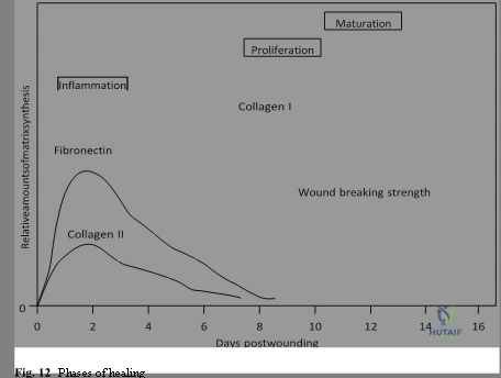 Clinical Image