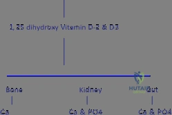 Clinical Image