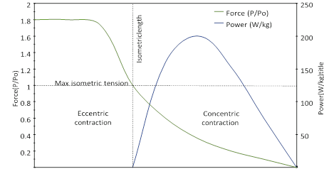 Illustration 10 for Decoding Von Willebrand Factor: Fundamental Basic Science Principles