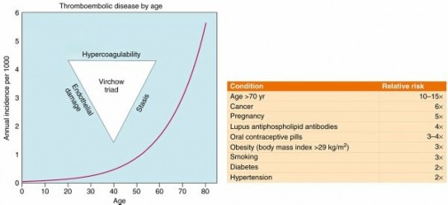Illustration 5 for Perioperative & Orthopaedic Medicine: Preventing Dangerous Blood Clots