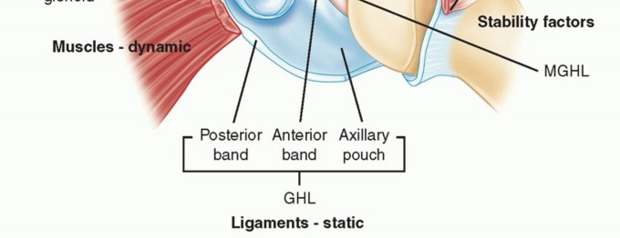 Illustration 3 for Glenoid Bone Graft for Anterior Shoulder Instability: Restore Stability