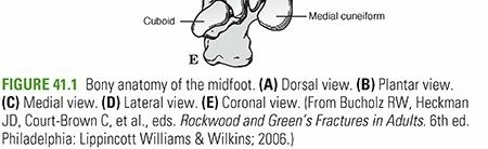 Illustration 4 for Mastering First MTP Joint & Forefoot Fractures: A Comprehensive Guide