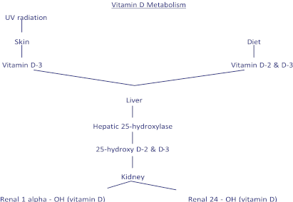 Illustration 15 for Decoding Von Willebrand Factor: Fundamental Basic Science Principles