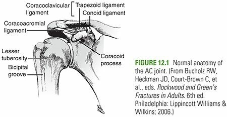 AC Joint Injury? Effective Healing with a Clavicle Strap Sling