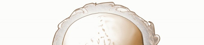 Mastering the Arch of the Atlas: Essential Posterior Cervical Anatomy