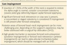 Illustration 97 for Mastering the Scope for Femoroacetabular Impingement