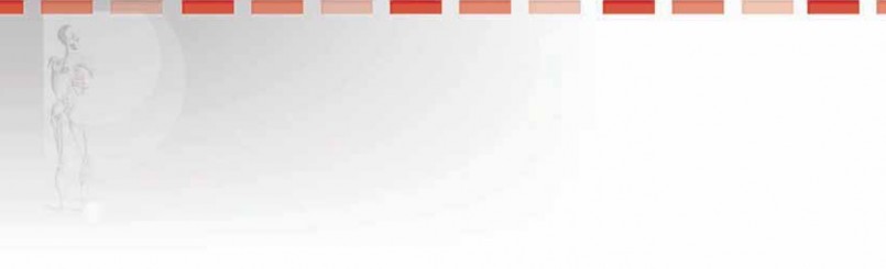 Illustration of head and glenoid - Dr. Mohammed Hutaif