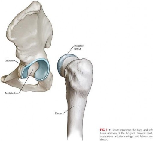Illustration 6 for Precision Hip Arthroscopy: Unlock Access to the Peripheral Compartment