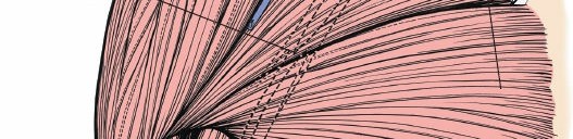 Illustration 9 for Enhance Anterior Shoulder Surgery: Crucial Joint Applied Surgical Anatomy