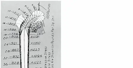 كسور تحت المدور: دليلك الشامل لاستعادة الحركة والأمل مع الأستاذ الدكتور محمد هطيف