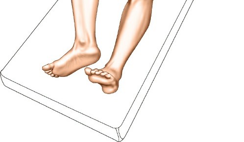 Illustration 16 for Surgical Access: Mastering the Tibia's Surface & Fibula Approaches