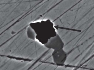 Illustration 23 for Maximizing Durability: Tribology and Bearing for Hip Implants