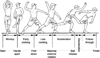 عدم استقرار أربطة الكوع: دليل شامل من الأستاذ الدكتور محمد هطيف في صنعاء