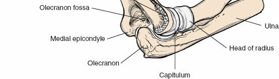 Illustration 61 for Medial Approach to the Distal Humerus: Master Techniques & Avoid Osteotomy