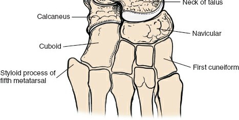 Illustration 162 for Optimized Approaches to the Dorsum of the Foot & Ankle