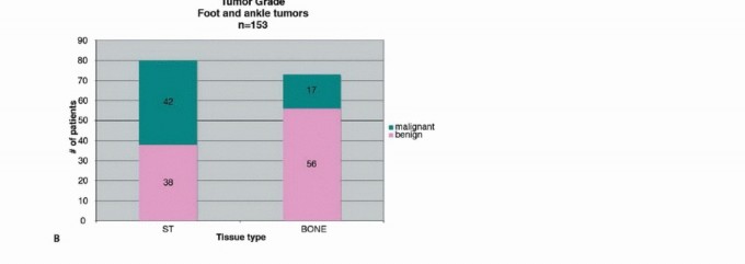 Illustration 2 for Treating Tumors of the Foot: Optimizing Amputation & Resection