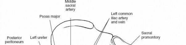 Illustration 123 for Approach to the Lumbar Spine: Mastering Techniques & Anatomy