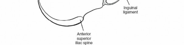Illustration 99 for Approach to the Lumbar Spine: Mastering Techniques & Anatomy