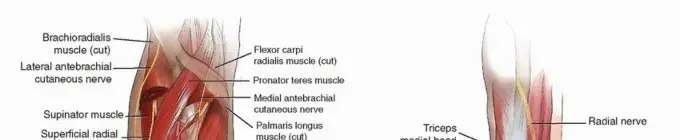 دليل المريض الشامل لكسور الساعد: التشخيص، العلاج، والتعافي مع الأستاذ الدكتور محمد هطيف