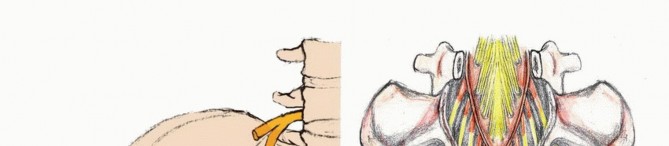 Sacral Tumor Surgery: Safeguarding Bowel & Bladder Control