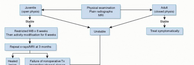 Illustration 17 for Dissecans of the Knee: What's the Difference – OCD vs. AVN?