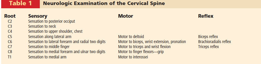 Illustration 3 for How ACDF Clears Your Posterior Disc Space for Lasting Relief