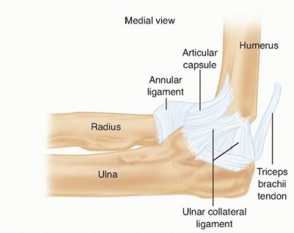 Illustration 2 for Restore Stability & Motion: Fixation of Fracture-Dislocations